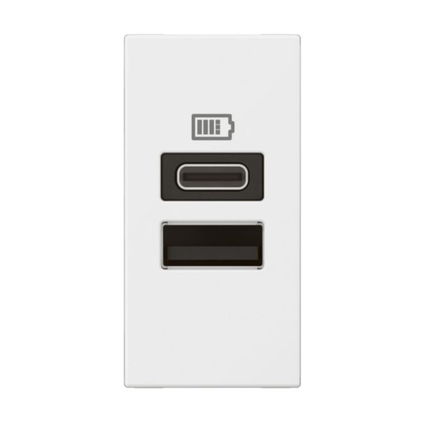1 module USB 2 cổng A+C - 3A- 15W - White | 571688
